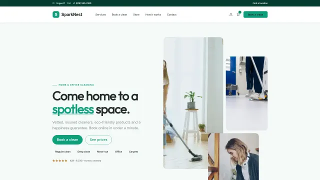 The SparkNest demo home page