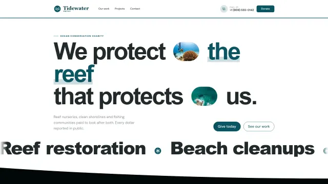 The Tidewater Trust demo home page